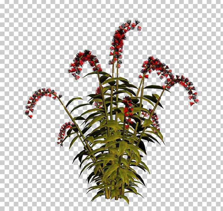 Flowerpot Plant Stem Flowering Plant Tree PNG, Clipart, Flatcast, Flower, Flowering Plant, Flowerpot, Nature Free PNG Download