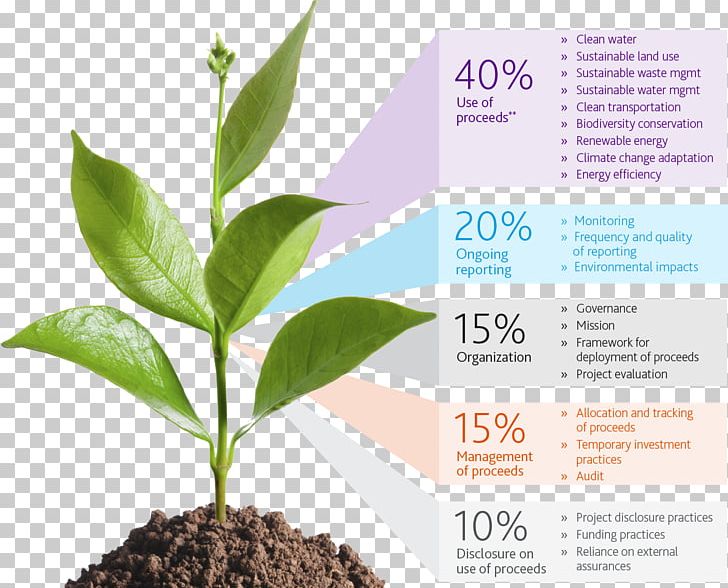 Sustainability Corporate Social Responsibility Environmental PNG, Clipart,  Free PNG Download