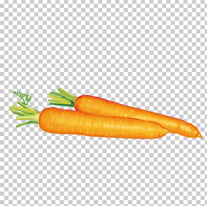 Carrot Free Content PNG, Clipart, Baby Carrot, Bockwurst, Carrot, Food, Fresh Juice Free PNG Download