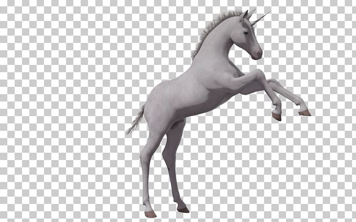 Foal Horse Unicorn Colt PNG, Clipart, Animal Figure, Animals, Black And White, Colt, Fictional Character Free PNG Download