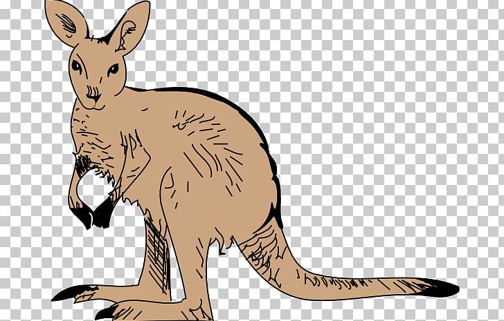 Kangaroo Free Content PNG, Clipart, Computer, Download, Fauna, Free Content, Free Wildlife Clipart Free PNG Download