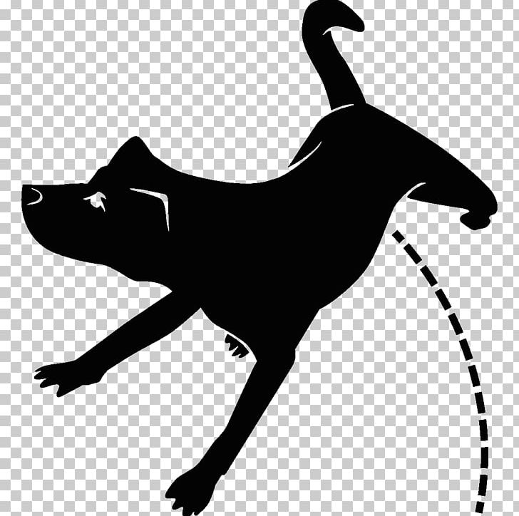 Dog Breed Cat Leash PNG, Clipart, Animals, Artwork, Black, Black And White, Black M Free PNG Download