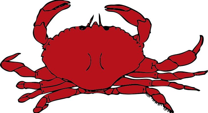 Chesapeake Blue Crab Crustacean PNG, Clipart, Animal Source Foods, Artwork, Blog, Chesapeake Blue Crab, Christmas Island Red Crab Free PNG Download