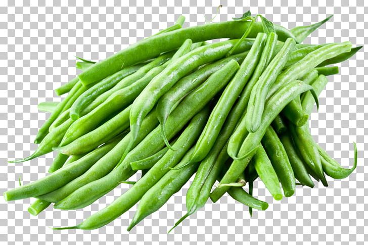 Common Bean Terrine Green Bean Food PNG, Clipart, Bean, Commodity, Common Bean, Dal, Food Free PNG Download