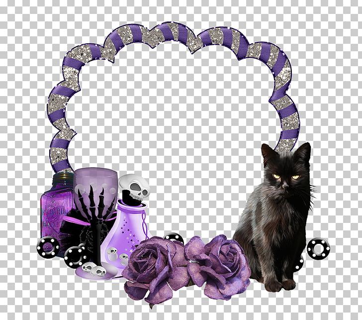 Kitten Frames Black Cat Photography PNG, Clipart, 4shared, Animals, Black Cat, Body Jewellery, Body Jewelry Free PNG Download