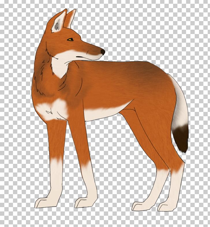 Red Fox Dog Ethiopian Wolf Drawing PNG, Clipart, Animal, Animals, Canidae, Carnivoran, Cartoon Free PNG Download