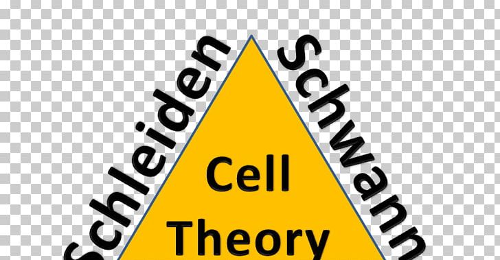 Cell Theory Biology Science PNG, Clipart, Antonie Van Leeuwenhoek, Area, Biology, Brand, Cell Free PNG Download