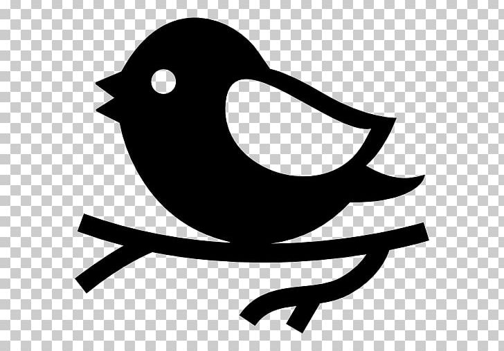 Computer Icons Bird PNG, Clipart, Animals, Artwork, Avatar, Beak, Bird Free PNG Download