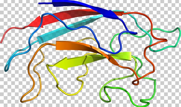 Line Point Organism PNG, Clipart, Area, Art, Artwork, Lectin, Line Free PNG Download