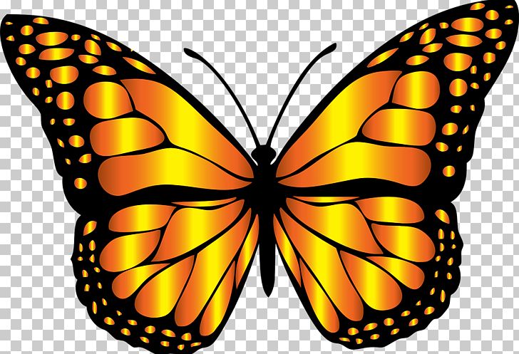 Monarch Butterfly Insect PNG, Clipart, Arthropod, Brush Footed Butterfly, Butterfly, Butterfly Clip Art, Clipart Free PNG Download