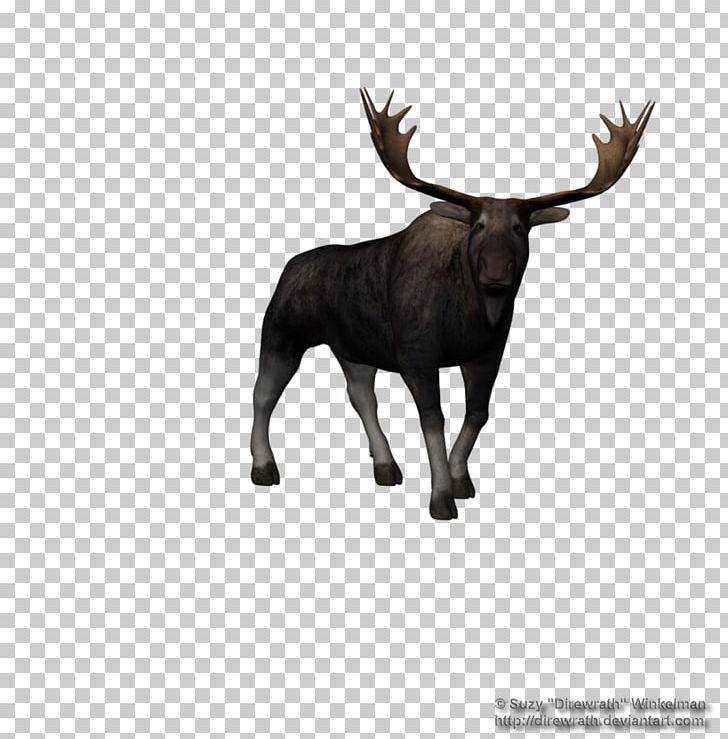 Moose Reindeer PNG, Clipart, 3d Computer Graphics, 3d Rendering, Animals, Antler, Bull Free PNG Download