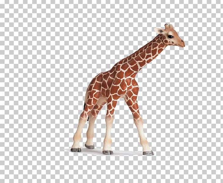 Giraffe Schleich Toy Amazon.com Calf PNG, Clipart, Animal, Animal Figurine, Animals, Breyer Animal Creations, Cartoon Giraffe Free PNG Download