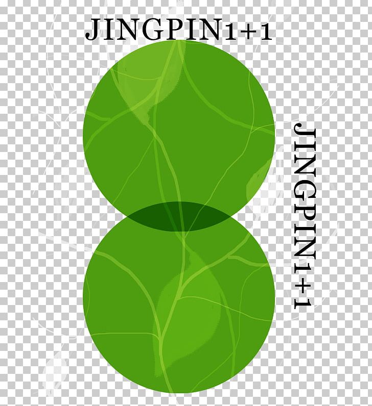 Leaf Green Pattern PNG, Clipart, Art, Background, Background Vector, Brand, Circle Free PNG Download