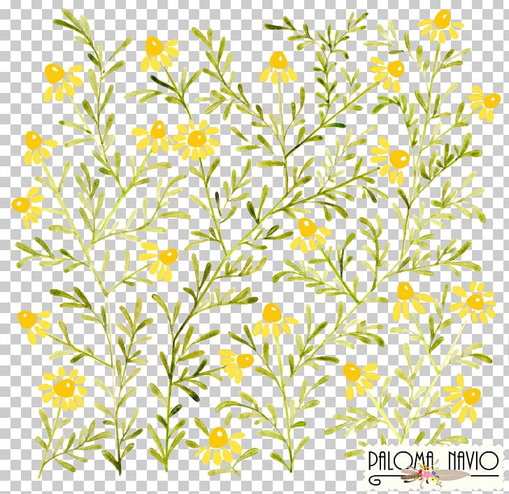 Watercolor Painting Art PNG, Clipart, Art, Branch, Camomile, Canvas, Chamomile Free PNG Download