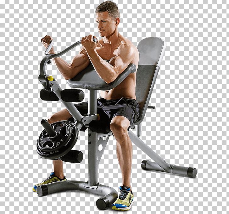 Bench Exercise Gold's Gym Weight Training Fitness Centre PNG, Clipart,  Free PNG Download