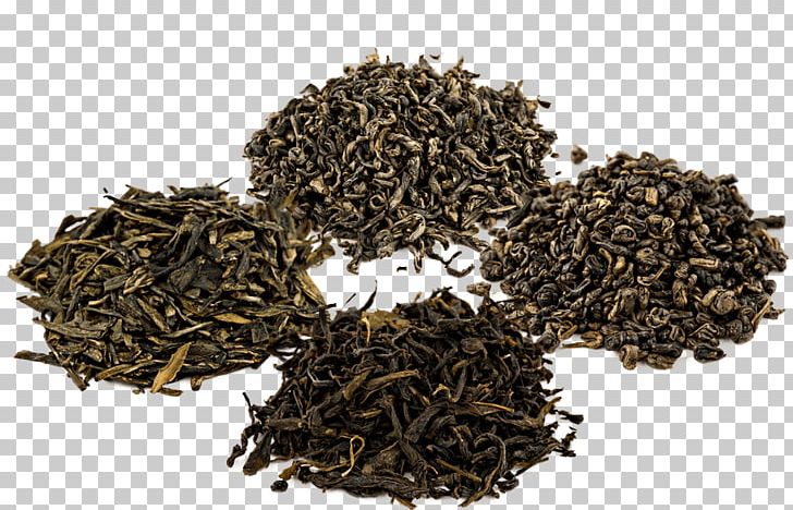 Dianhong Assam Tea Chun Mee Green Tea PNG, Clipart, Assam Tea, Bai Mudan, Bancha, Biluochun, Camellia Sinensis Free PNG Download