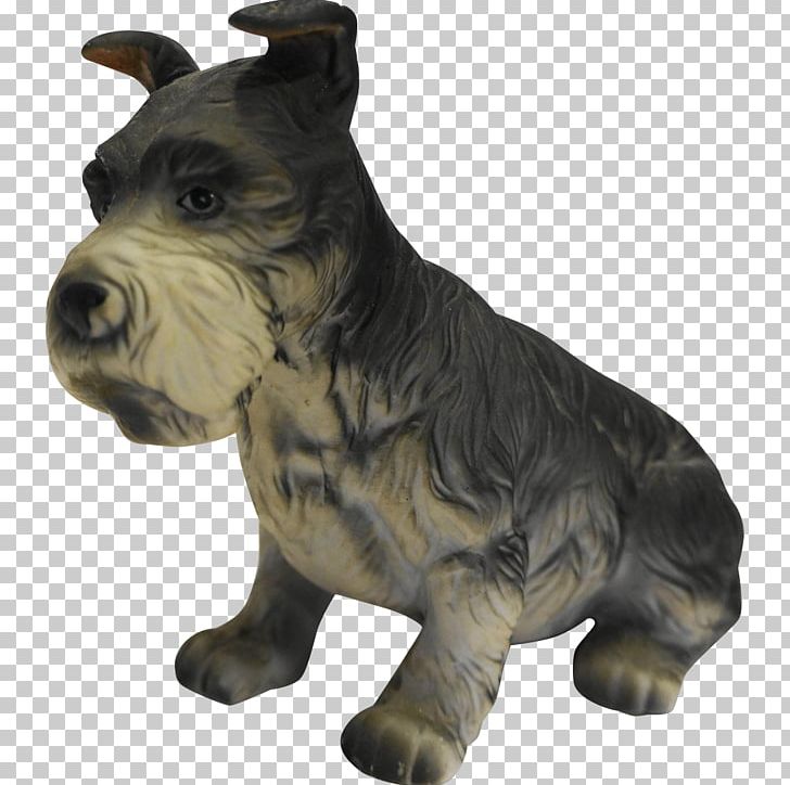 Dog Breed Snout Canidae Carnivora PNG, Clipart, Animal, Animals, Breed, Canidae, Carnivora Free PNG Download