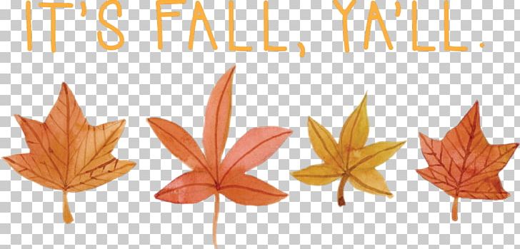 Maple Leaf Graphics Line Font PNG, Clipart, Autumn, Autumn Leaves, Flowering Plant, Leaf, Line Free PNG Download
