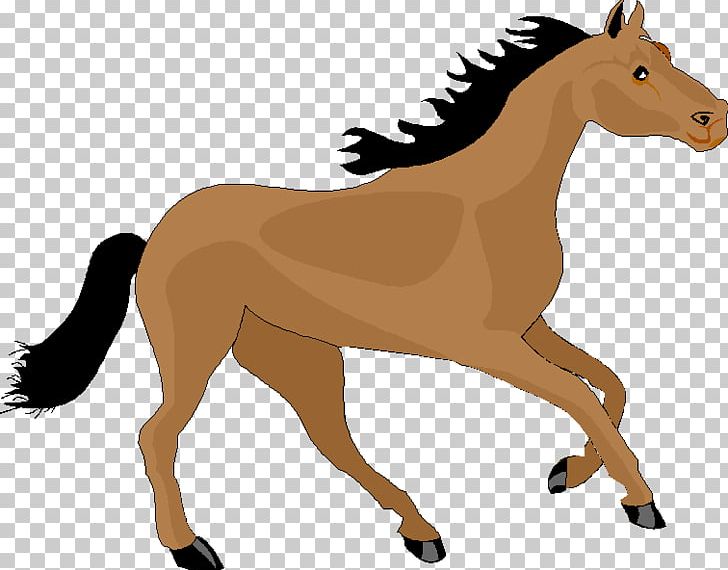 Mustang Foal Pony Stallion PNG, Clipart, Animal Figure, Bridle, Canter And Gallop, Colt, Donkey Free PNG Download