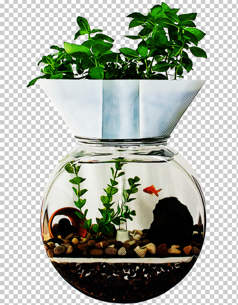 Flowerpot Plant Houseplant Tree Flower PNG, Clipart, Aquarium, Flower, Flowerpot, Herb, Houseplant Free PNG Download