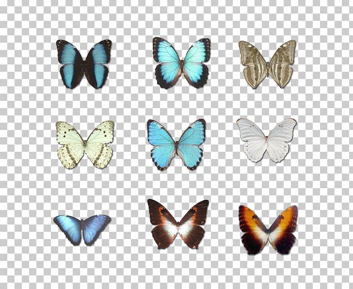 Character Structure PNG, Clipart, Adobe Illustrator, Blue, Butterflies, Butterfly Group, Character Structure Free PNG Download