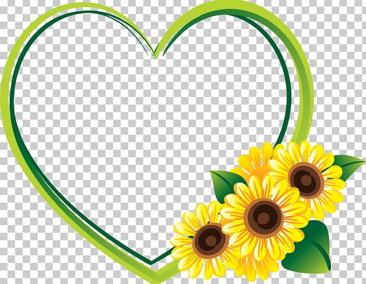 Common Sunflower Daisy Family PNG, Clipart, Border, Circle, Common Sunflower, Curve, Cut Flowers Free PNG Download