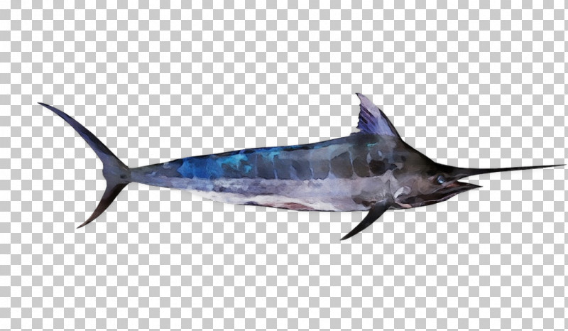 Bony Fishes Swordfish Sharks Dolphin Fish PNG, Clipart, Biology, Bony Fishes, Dolphin, Fish, Marlin Free PNG Download