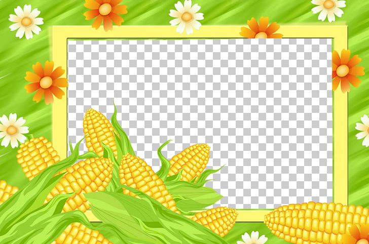 Frames Maize Sweet Corn PNG, Clipart, Computer Wallpaper, Corn, Corn Maze, Flora, Flower Free PNG Download
