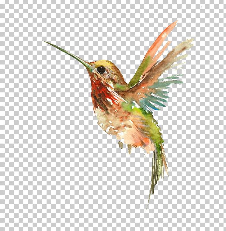 Hummingbird Watercolor Painting Tattoo PNG, Clipart, Abziehtattoo, Animal, Animals, Art, Beak Free PNG Download
