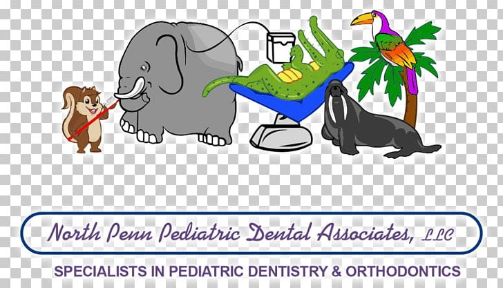 Lansdale Pediatric Dentistry Tooth Decay PNG, Clipart, Carnivoran, Cartoon, Cat Like Mammal, Child, Dentistry Free PNG Download