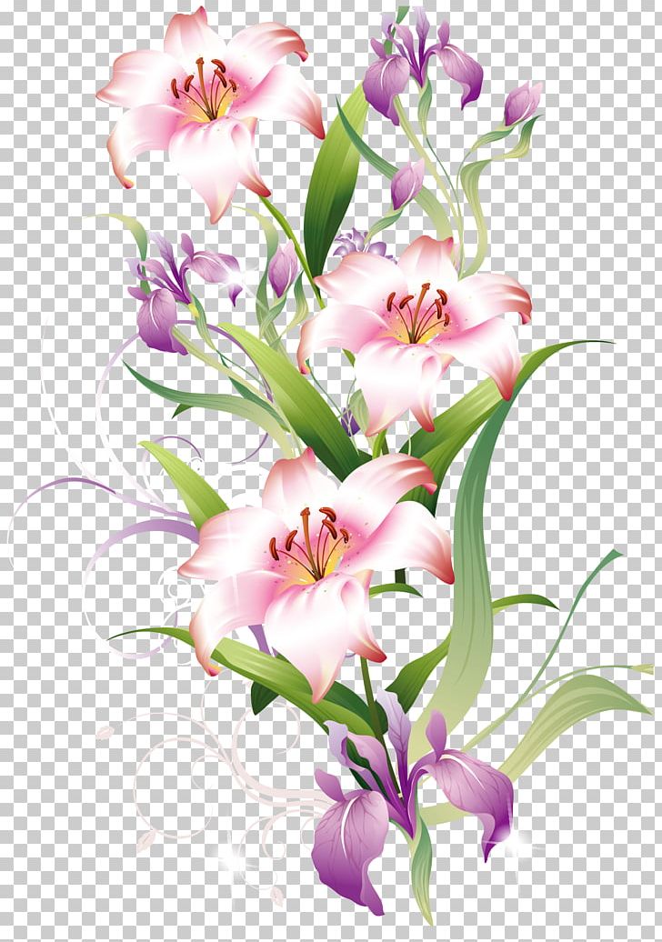 Lilium Bulbiferum Tiger Lily PNG, Clipart, Alstroemeriaceae, Color, Desktop Wallpaper, Encapsulated Postscript, Floral Free PNG Download
