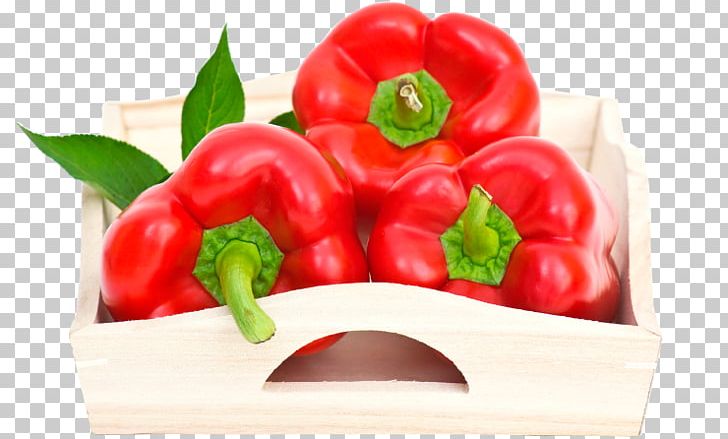Piquillo Pepper Habanero Bird's Eye Chili Bell Pepper Cayenne Pepper PNG, Clipart,  Free PNG Download