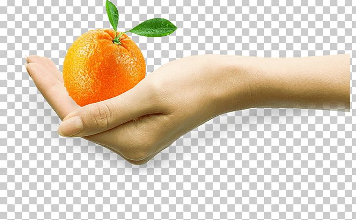 Smoothie Juice Tangelo Food Tangerine PNG, Clipart, Citrus, Food, Fruit, Fruit Nut, Grapefruit Free PNG Download