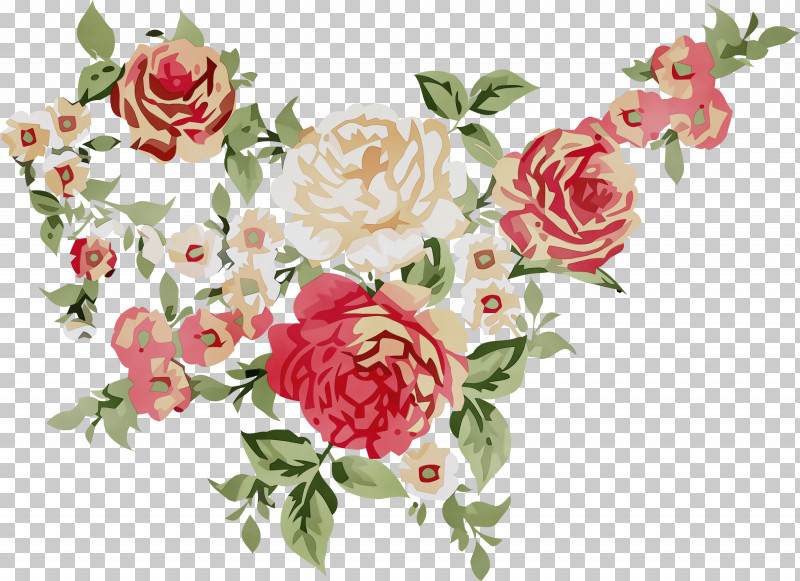Floral Design PNG, Clipart, Cabbage Rose, Cut Flowers, Family, Floral Design, Flower Free PNG Download