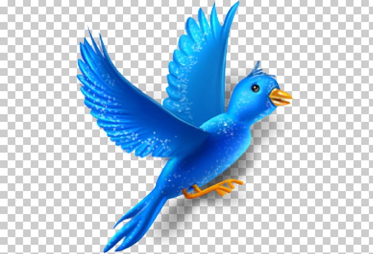 Bird Flight Bird Flight Animal Computer Icons PNG, Clipart, Animal, Animals, Beak, Bird, Bird Flight Free PNG Download