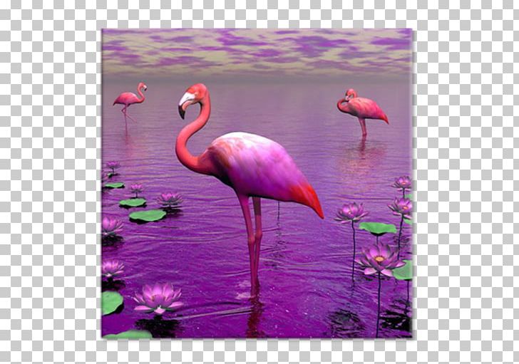 Flamingo Bird Lilium Stock Photography PNG, Clipart, Animals, Beak, Bird, Color, Flamingo Free PNG Download
