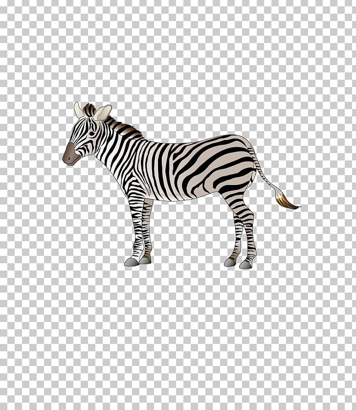 Cartoon Logo Zebra PNG, Clipart, Animal, Animals, Cartoon, Encapsulated Postscript, Friendly Free PNG Download