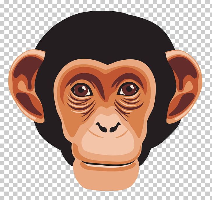 Chimpanzee Ape Primate Monkey PNG, Clipart, Animal, Animals, Cartoon, Chubby Gorilla, Ear Free PNG Download