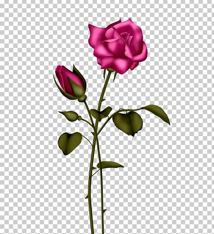 Light Blue Rose Flower PNG, Clipart, Blue, Bud, Cut Flowers, Floral Design, Flower Arranging Free PNG Download