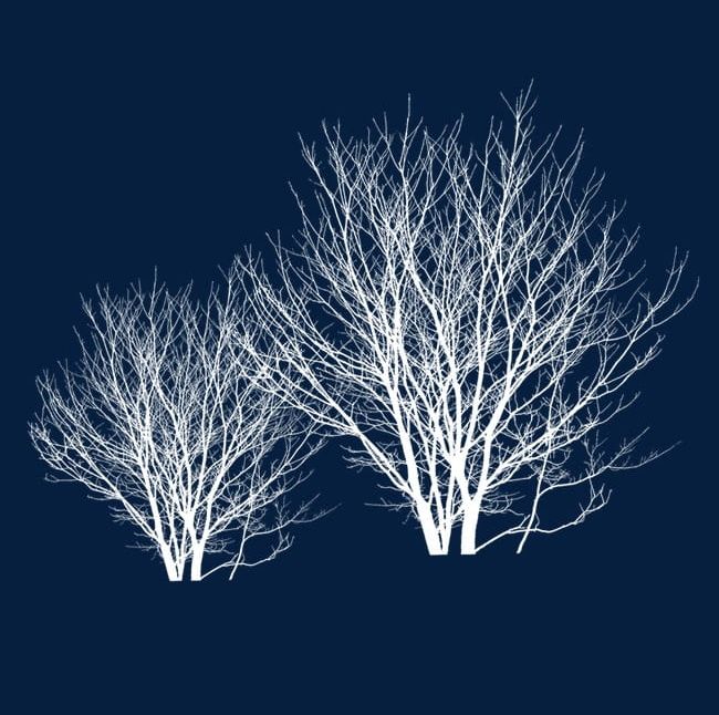 Winter Tree PNG, Clipart, Material, Poster, Tree, Tree Clipart, Winter Clipart Free PNG Download