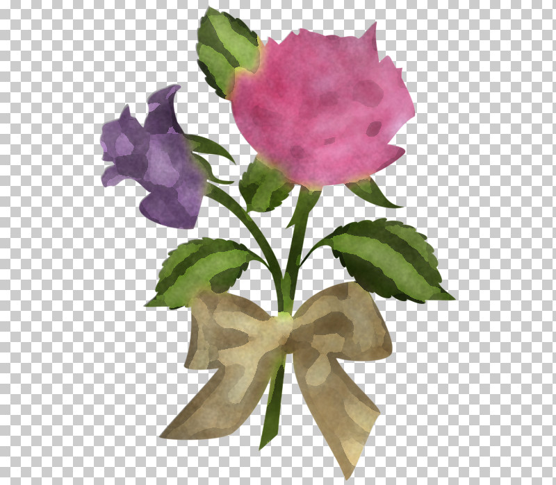 Flower Pink Petal Plant Violet PNG, Clipart, Cut Flowers, Flower, Petal, Pink, Plant Free PNG Download