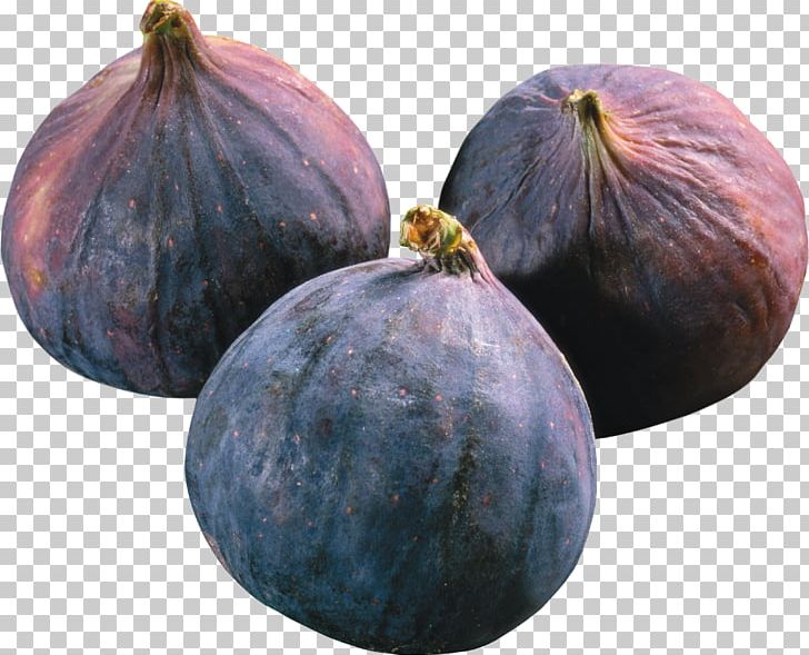 Cucurbita Fruit Common Fig Drawing PNG, Clipart, Cartoon, Common Fig, Cucumber Gourd And Melon Family, Cucurbita, Drawing Free PNG Download