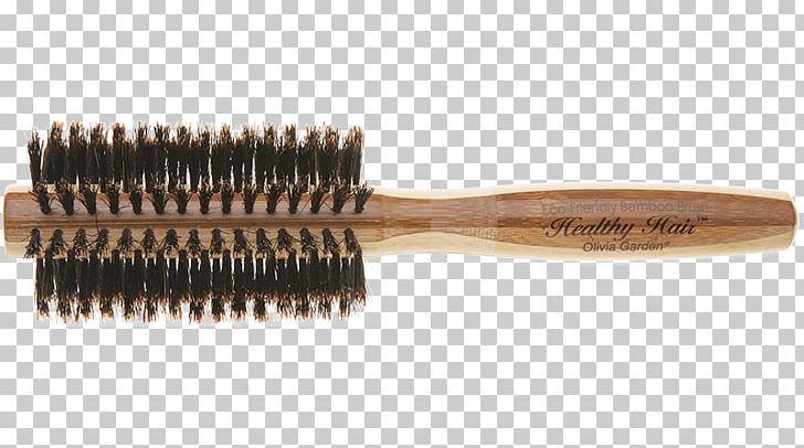 Hairbrush Comb Wild Boar PNG, Clipart, Bristle, Brush, Brushing, Capelli, Comb Free PNG Download