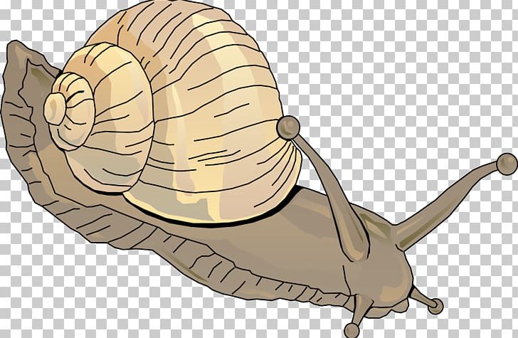 Sea Snail PNG, Clipart, Animals, Clip Art, Document, Download, Fictional Character Free PNG Download
