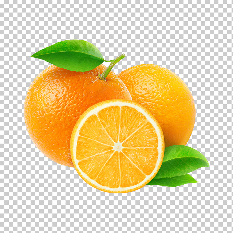 Orange PNG, Clipart, Apples And Oranges, Citrus, Fresh Food, Fresh Oranges, Fruit Free PNG Download