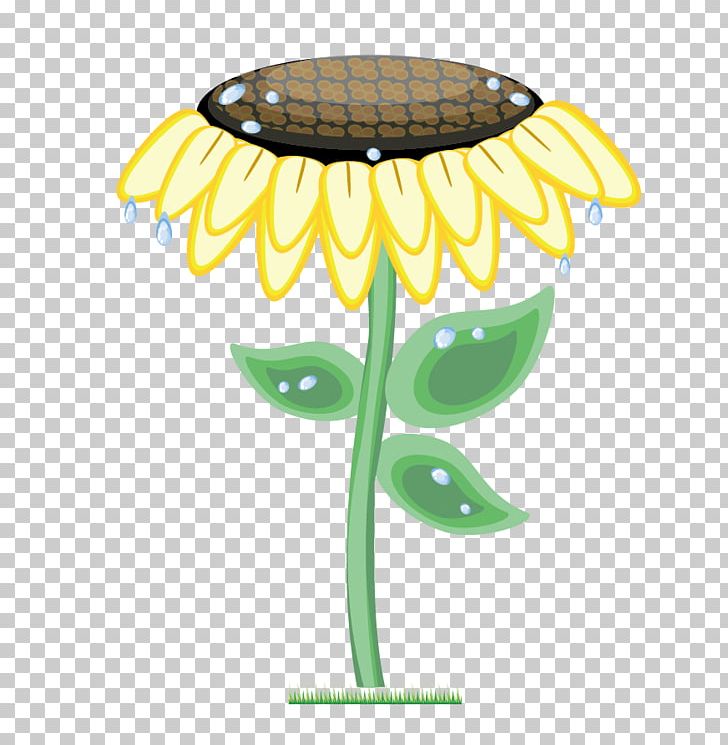 Common Sunflower Euclidean PNG, Clipart, Adobe Illustrator, Flower, Flowers, Happy Birthday Vector Images, Illustrator Free PNG Download