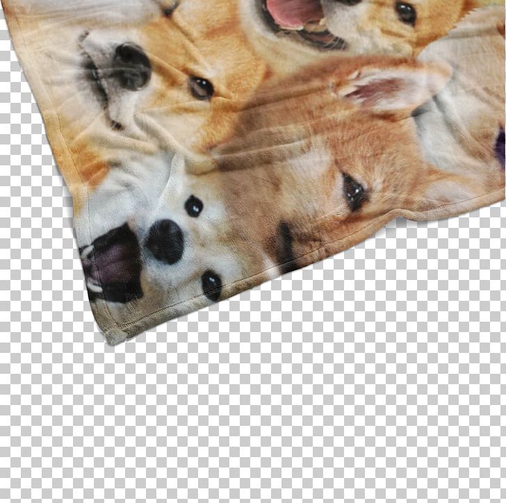Dog Breed Shiba Inu Puppy Sporting Group Snout PNG, Clipart, Animals, Blanket, Breed, Carnivoran, Dog Free PNG Download