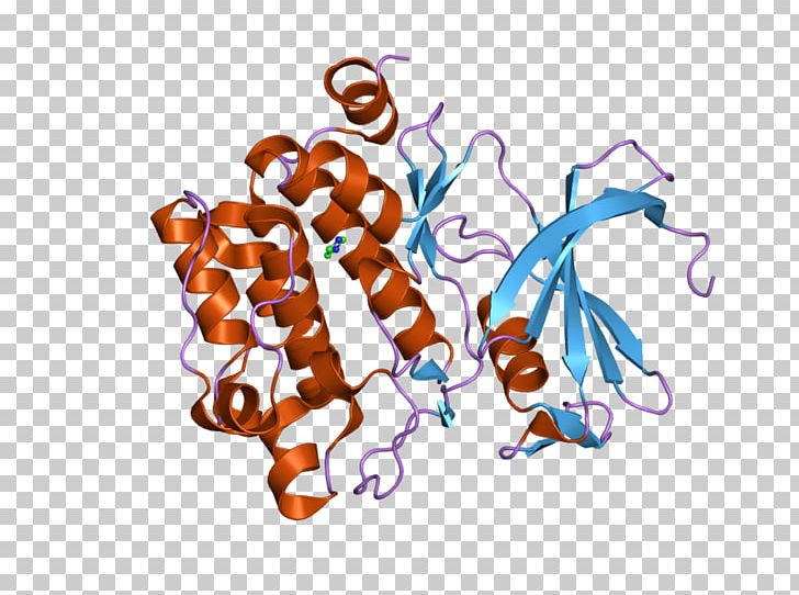 Worldwide Protein Data Bank Phosphoinositide Dependent Kinase 1