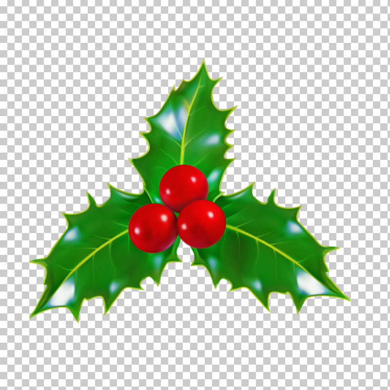 Christmas Decoration PNG, Clipart, American Holly, Berry, Christmas Decoration, Currant, Flower Free PNG Download