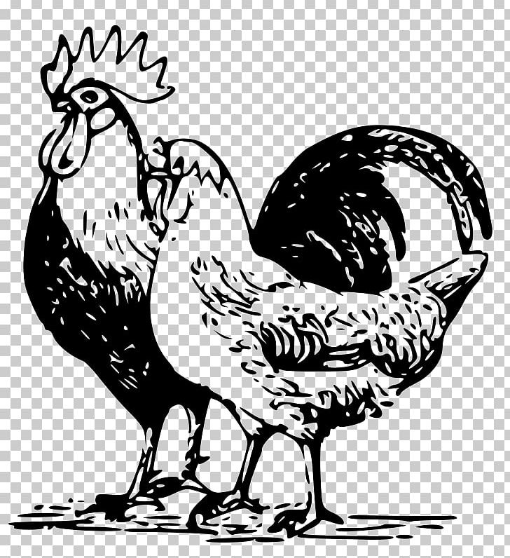 Chicken Goose Poultry Rooster PNG, Clipart, Animals, Art, Artwork, Beak, Bird Free PNG Download